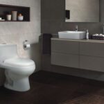 sanitarios destacado web celima trebol 1