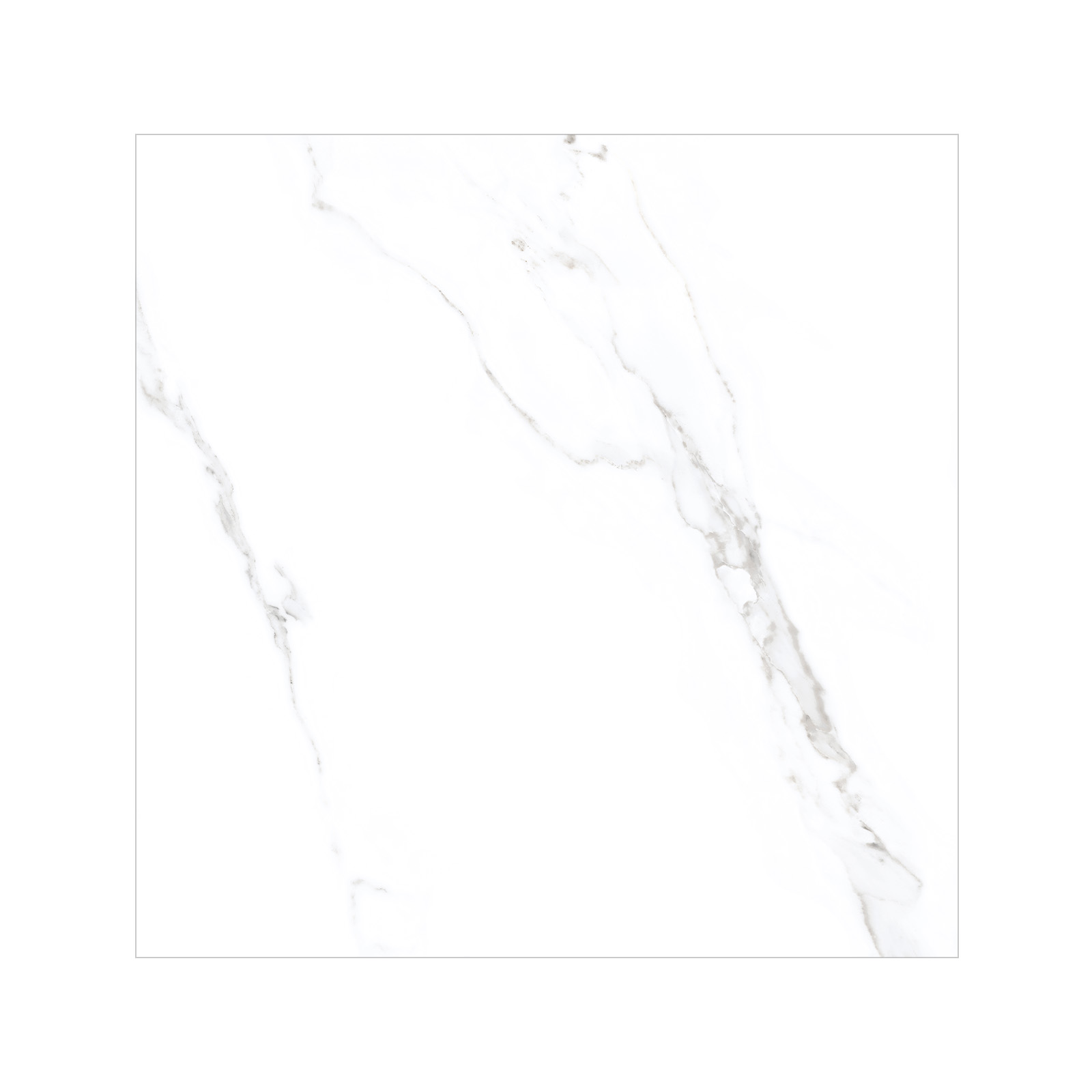 PORCELÁNICO MÁRMOL TREVISO BLANCO 60x60