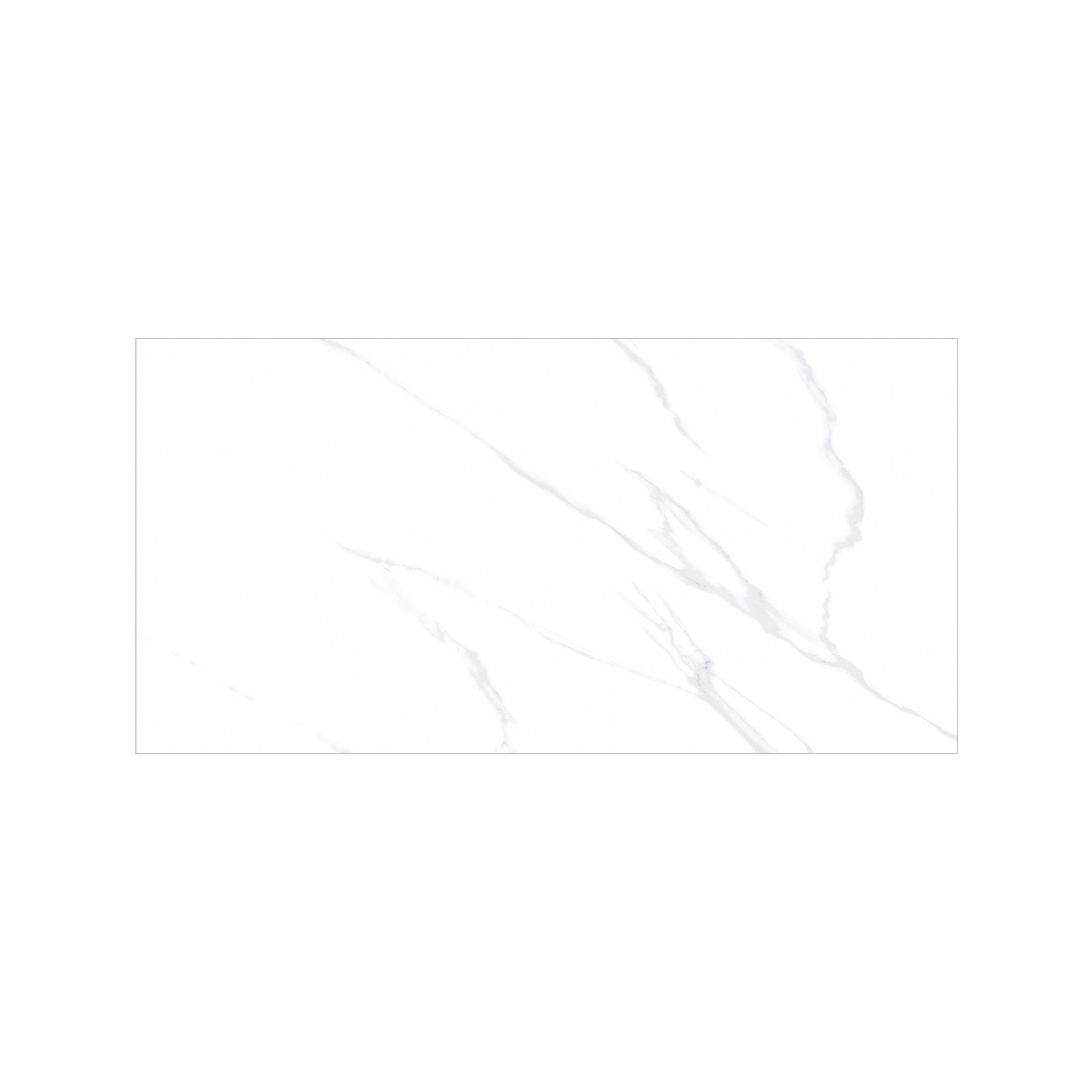 PORCELANATO MÁRMOL CALACATTA 60X120